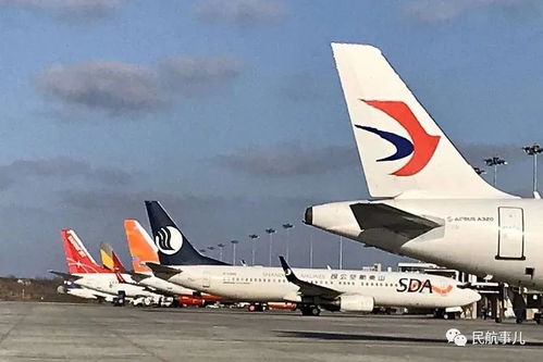 搶運(yùn)物資外運(yùn)產(chǎn)品 煙臺(tái)機(jī)場(chǎng)航空物流逆風(fēng)上揚(yáng)