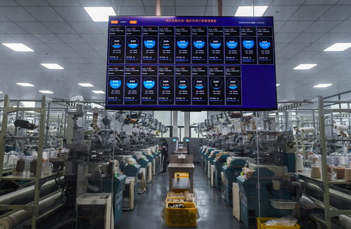 浙江諸暨 積極推進 國際襪都 襪業(yè)產業(yè)高質量發(fā)展